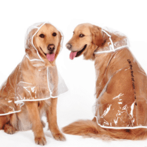 Transparent Waterproof Raincoat For Medium-Sized Dogs
